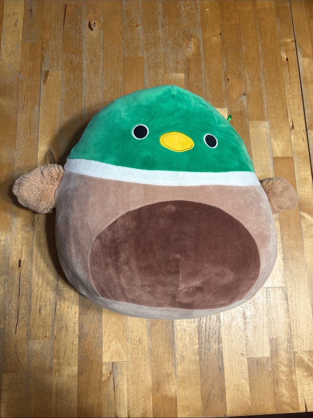 Squishmallow 12” Avery the Mallard Duck